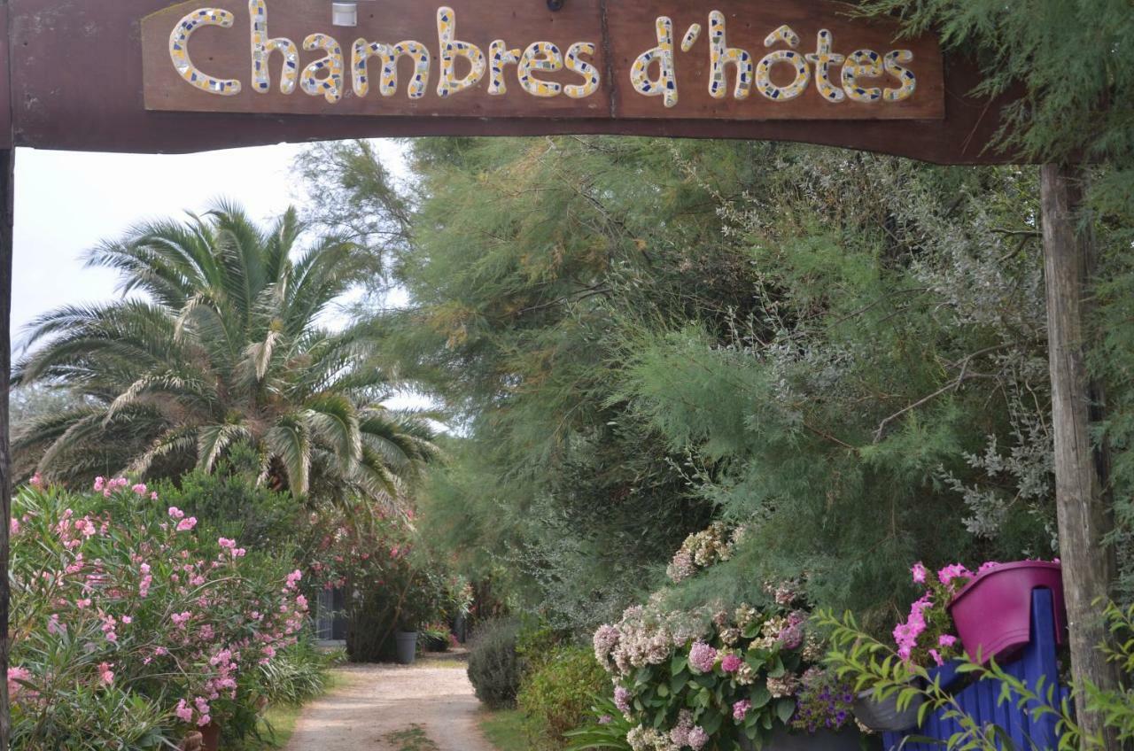 Gites Chambres D'Hotes Mazet Du Marechal Ferrant Saintes-Maries-de-la-Mer Exterior photo