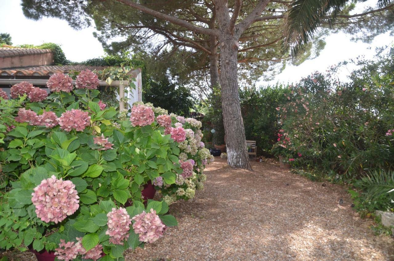 Gites Chambres D'Hotes Mazet Du Marechal Ferrant Saintes-Maries-de-la-Mer Exterior photo